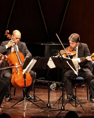 Salute To Vienna New Year's Concert Sarasota