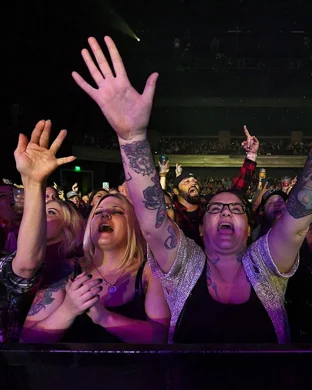 Gimme Gimme Disco Tampa