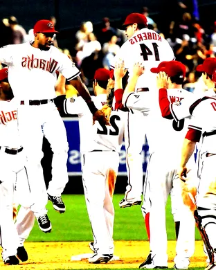 Arizona Diamondbacks St Petersburg