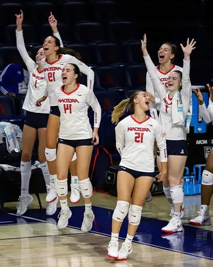 Arizona Wildcats Volleyball Tucson