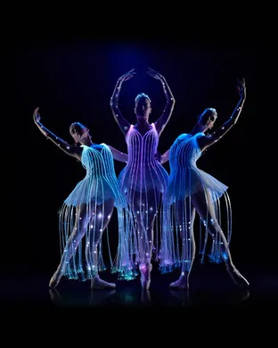 Ballet Of Lights Tampa