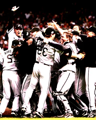 Chicago White Sox St Petersburg