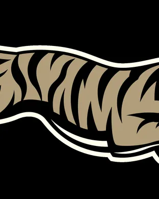 Cincinnati Bengals vs. Tampa Bay Buccaneers