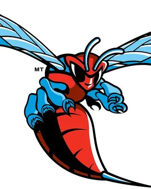 Delaware State Hornets Tampa