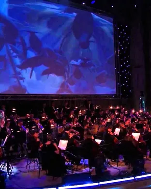 Fantasia Clearwater