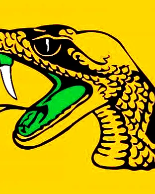 Florida A&m Rattlers Football Orlando