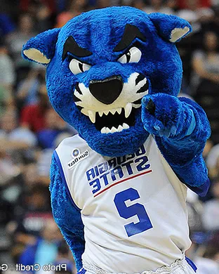 Georgia State Panthers Orlando