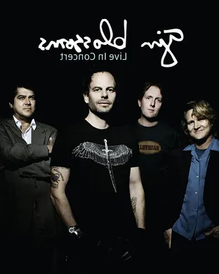 Gin Blossoms Clearwater