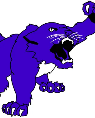 Kansas State Wildcats Orlando