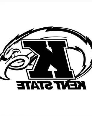 Kent State Golden Flashes Tampa