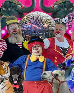 Loomis Bros Circus Sarasota