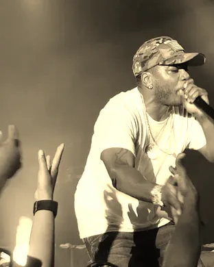 Nelly Tampa