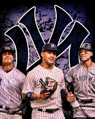 New York Yankees St Petersburg