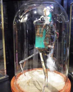 Oddities and Curiosities Expo Tampa