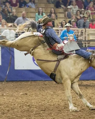 Silver Spurs Rodeo