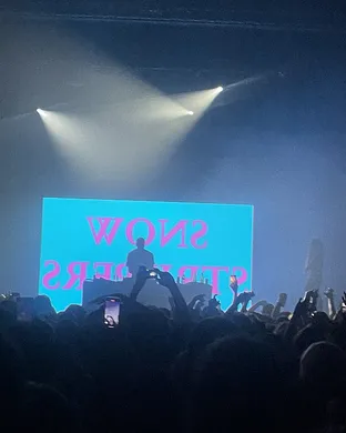 Snow Strippers Orlando