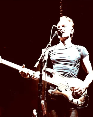 Sting Tampa
