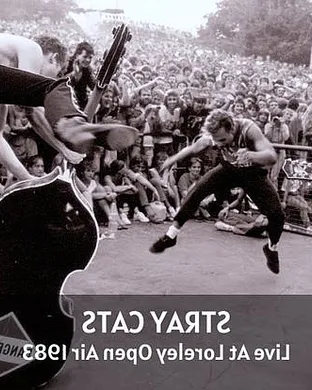 Stray Cats Clearwater