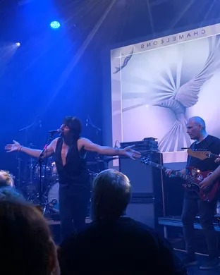 Chameleons Tampa