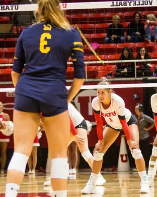 Utah Utes Volleyball Orlando