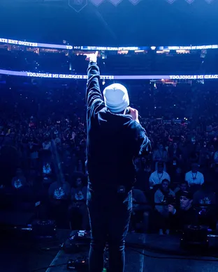 Zauntee Tampa