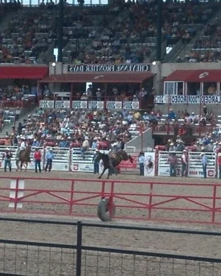 Monster Bulls Kissimmee