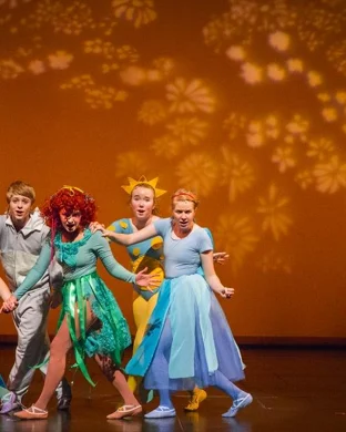 The Producers - Theatrical Production